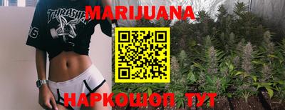 прущие грибы Камень-на-Оби
