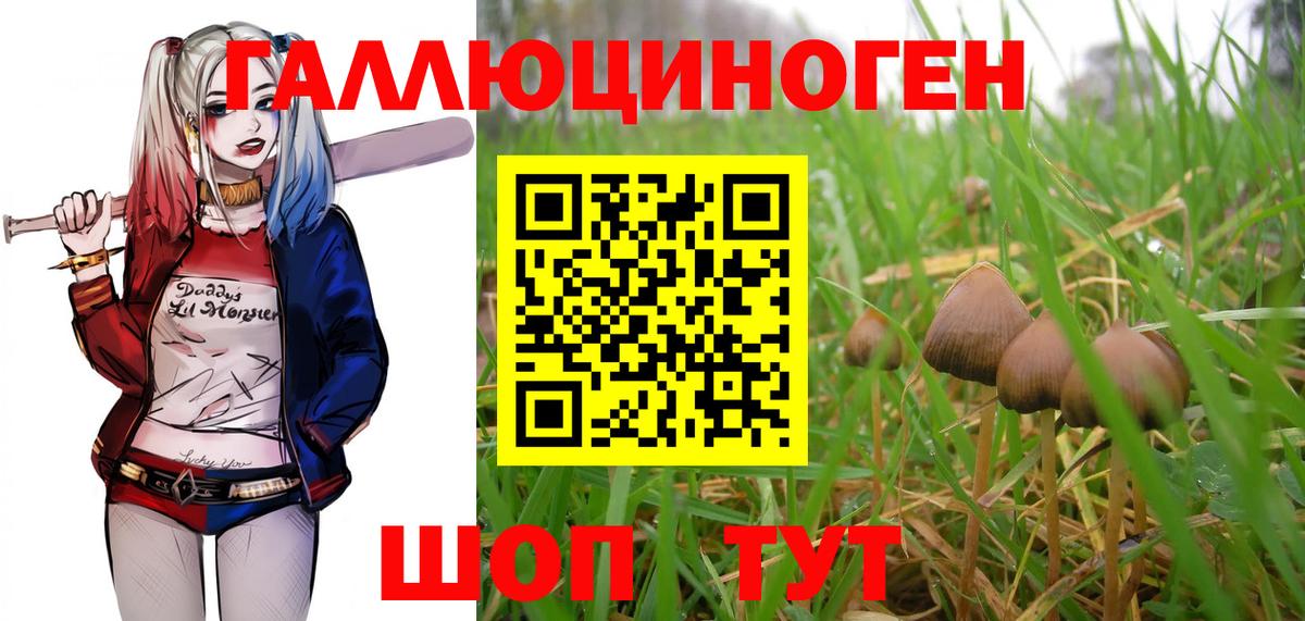 Галлюциногенные грибы ЛСД  Вход с VPN  Псилоцибиновые грибы прущие грибы  Мытищи 