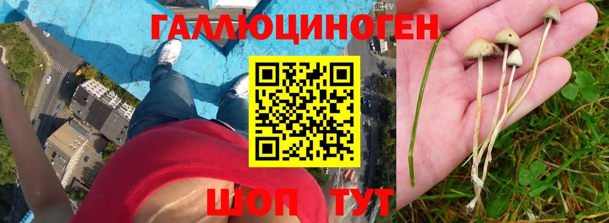 Псилоцибиновые грибы MAGIC MUSHROOMS Мытищи